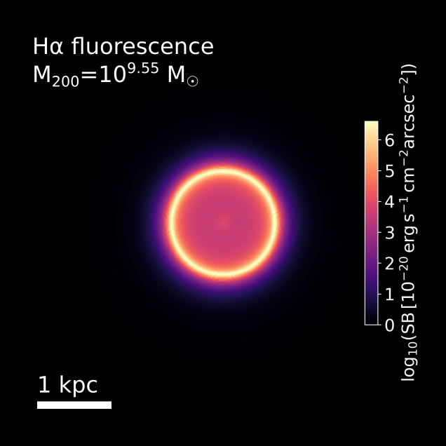Surface brightness map for fluorscent ring