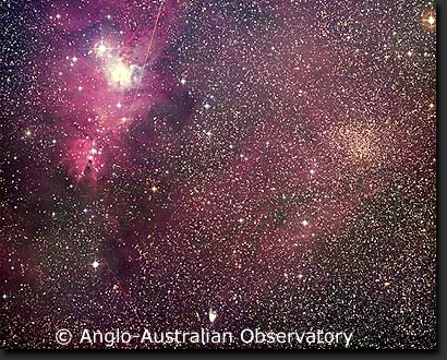 NGC 2261. 2264, the Cone nebula, Christmas tree cluster and Trumpler 5