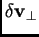 $ \delta\hbox{$\bf v$}_\perp$